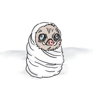 Meet your Posher, Eileen